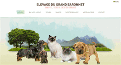 Desktop Screenshot of grand-baronnet.com