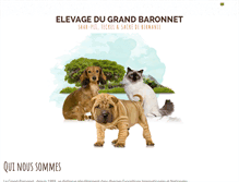 Tablet Screenshot of grand-baronnet.com